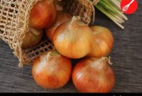 Why You Crave Onions: Surprising Reasons and What It Means