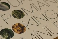 Cooking in Ten Minutes by Édouard de Pomiane — Book Review