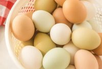 7 Colorful Chicken Breeds That Lay Blue, Green, and Brown Eggs