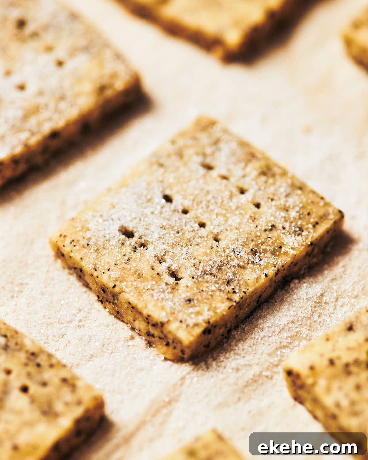 Baked earl grey shortbread cookies sitting on parchment paper