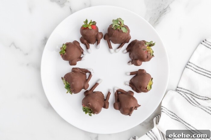 Chocolate-Covered Strawberry Turkeys in a circle.
