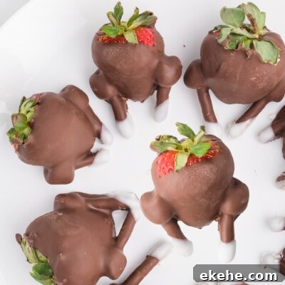 Chocolate Covered Strawberry Turkeys Feature