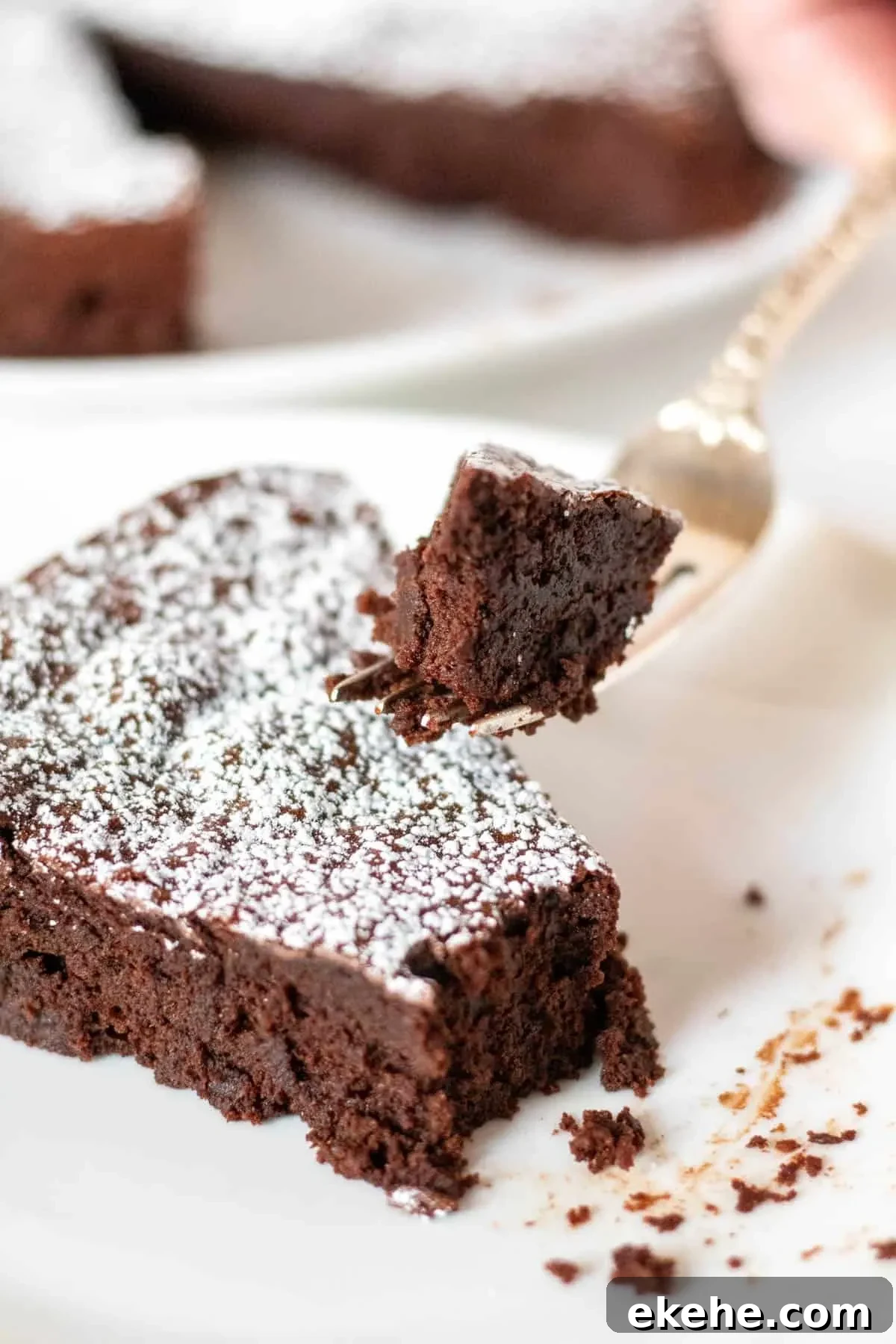 Piece of dark chocolate cake with forkful held up above slice of cake.