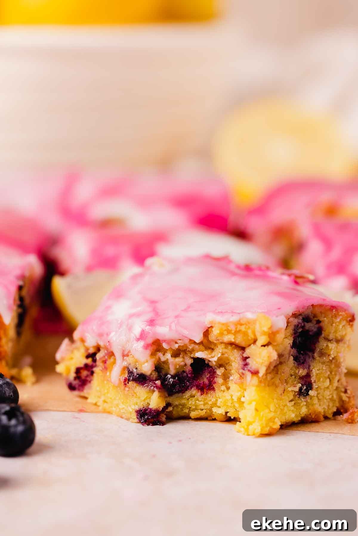 closeup of fudgy blueberry brownie texture