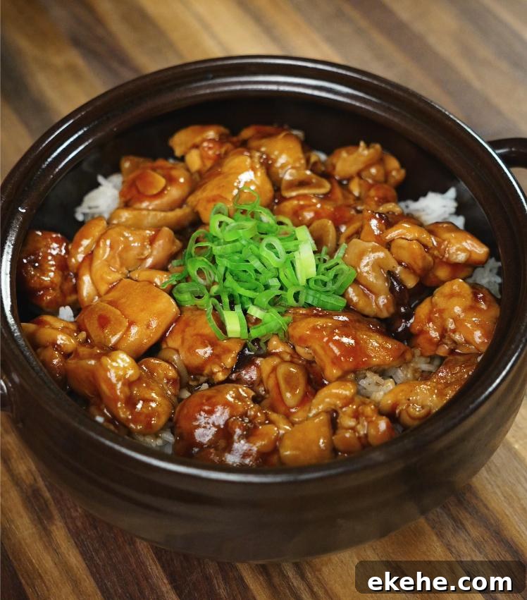 A high-resolution image shows ginger braised chicken served over white rice in a black ceramic bowl, garnished with chopped scallions. The glossy glaze of the chicken contrasts beautifully with the wooden surface beneath the bowl.