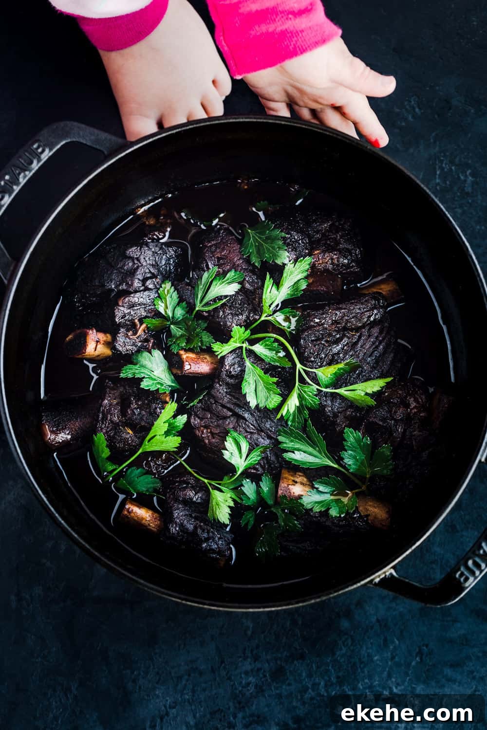 the best red wine braised short ribs, with a little hands cupping the cast iron dutch oven.