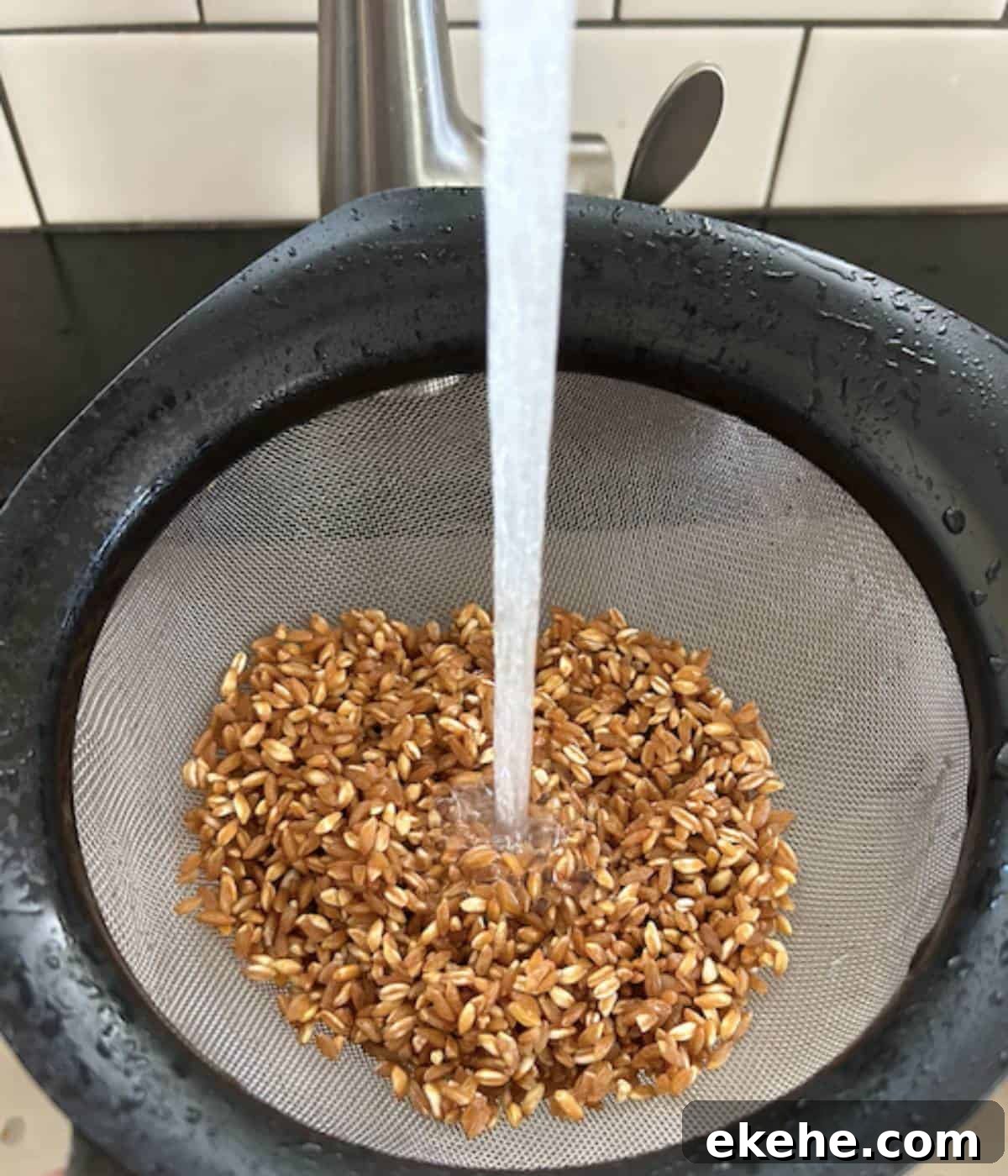 Farro in mesh strainer rinsing with water.