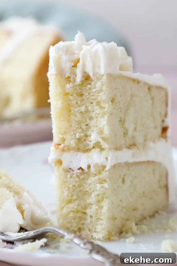 slice of vanilla cake upright on plate interior texture detail.