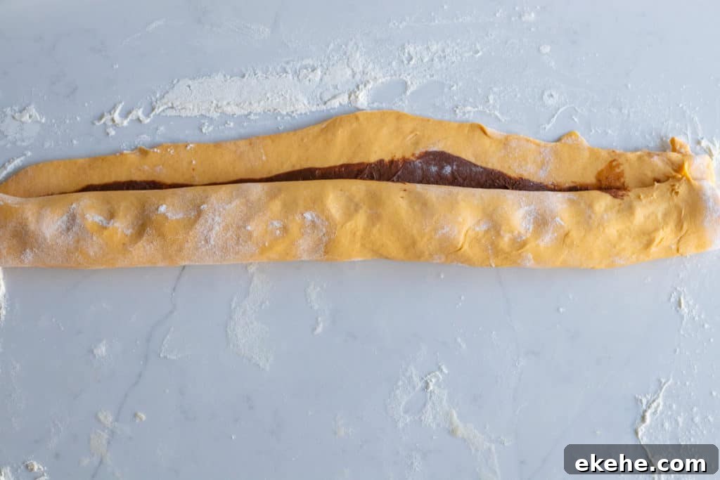 pumpkin babka dough rolled with nutella