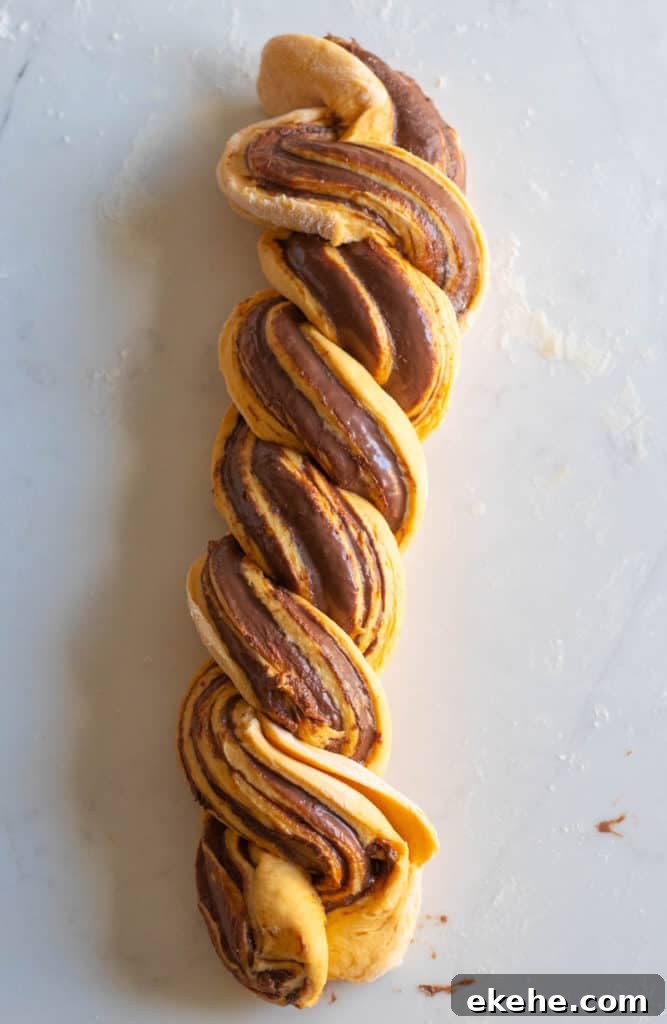 pumpkin nutella babka dough unbaked