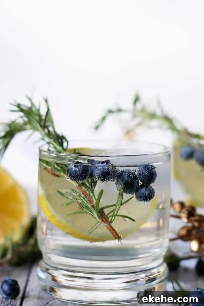 This lemon blueberry vodka spritzer is perfect for holiday parties, weekend brunches or girl's nights.