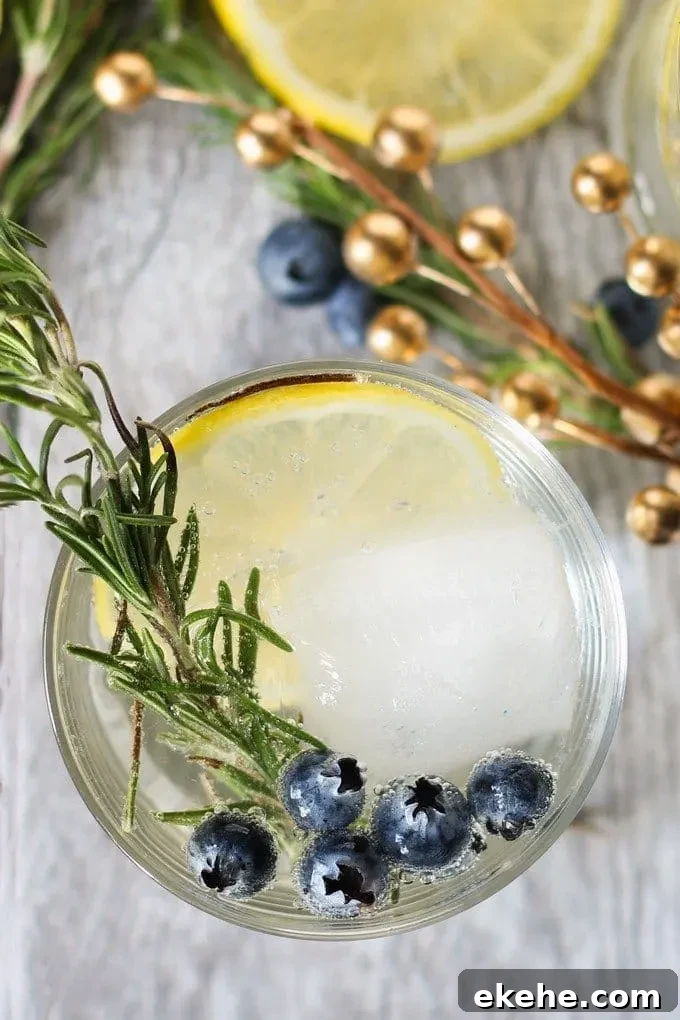 picture of blueberry vodka spritzer