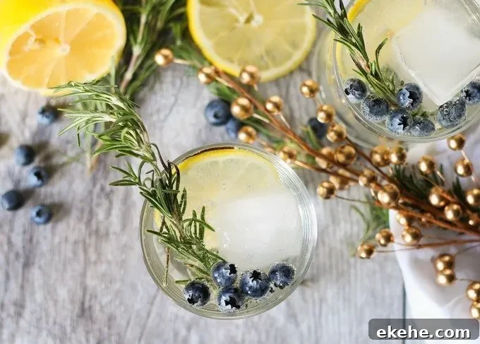lemon blueberry vodka spritzer picture