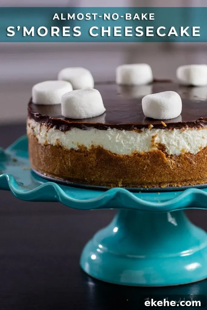A whole smores cheesecake on a cake stand