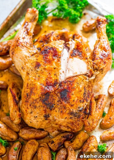 Roasted chicken with golden-brown skin served with herbs and roasted fingerling potatoes.