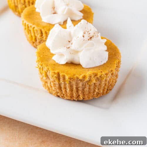 Mini Pumpkin Cheesecakes featured image