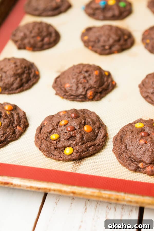 I can't eat these fast enough! Chocolate Reese's Pieces Cookies ohsweetbasil.com