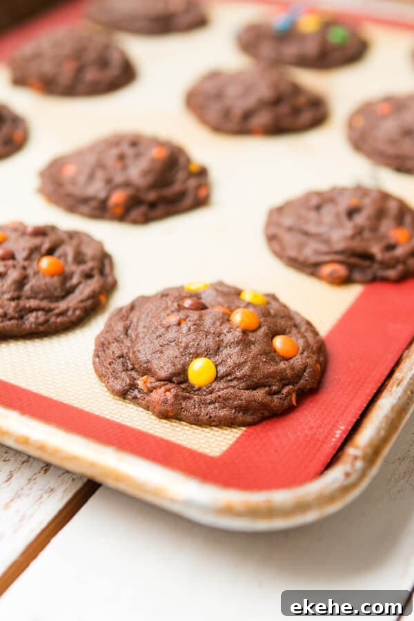 I can't eat these fast enough! Chocolate Reese's Pieces Cookies ohsweetbasil.com
