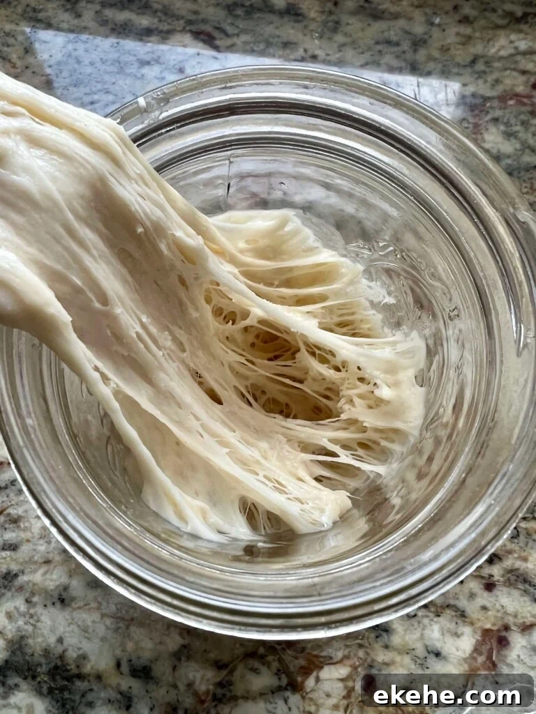 Stiff sourdough levain being stretched out of a glass mixing bowl.