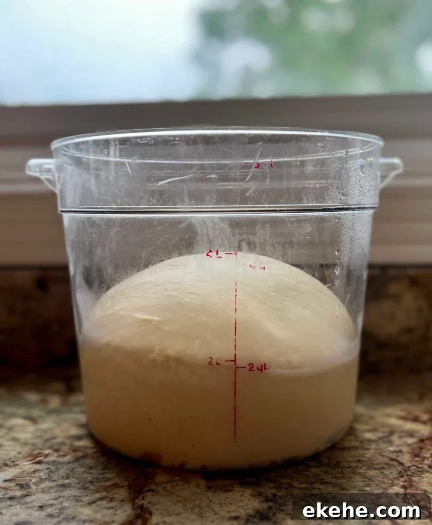 Sourdough kolache dough rising in a clear proofing container.