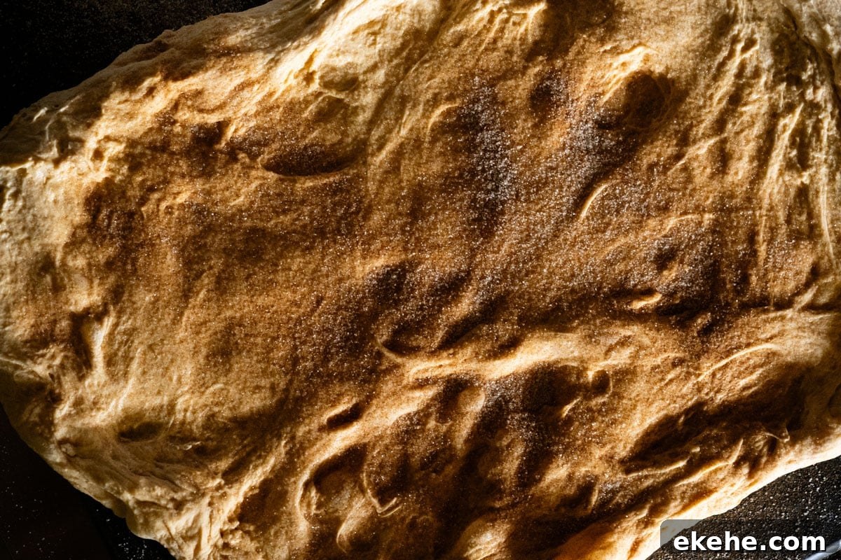 Laminating the pumpkin sourdough dough with a swirl of cinnamon sugar
