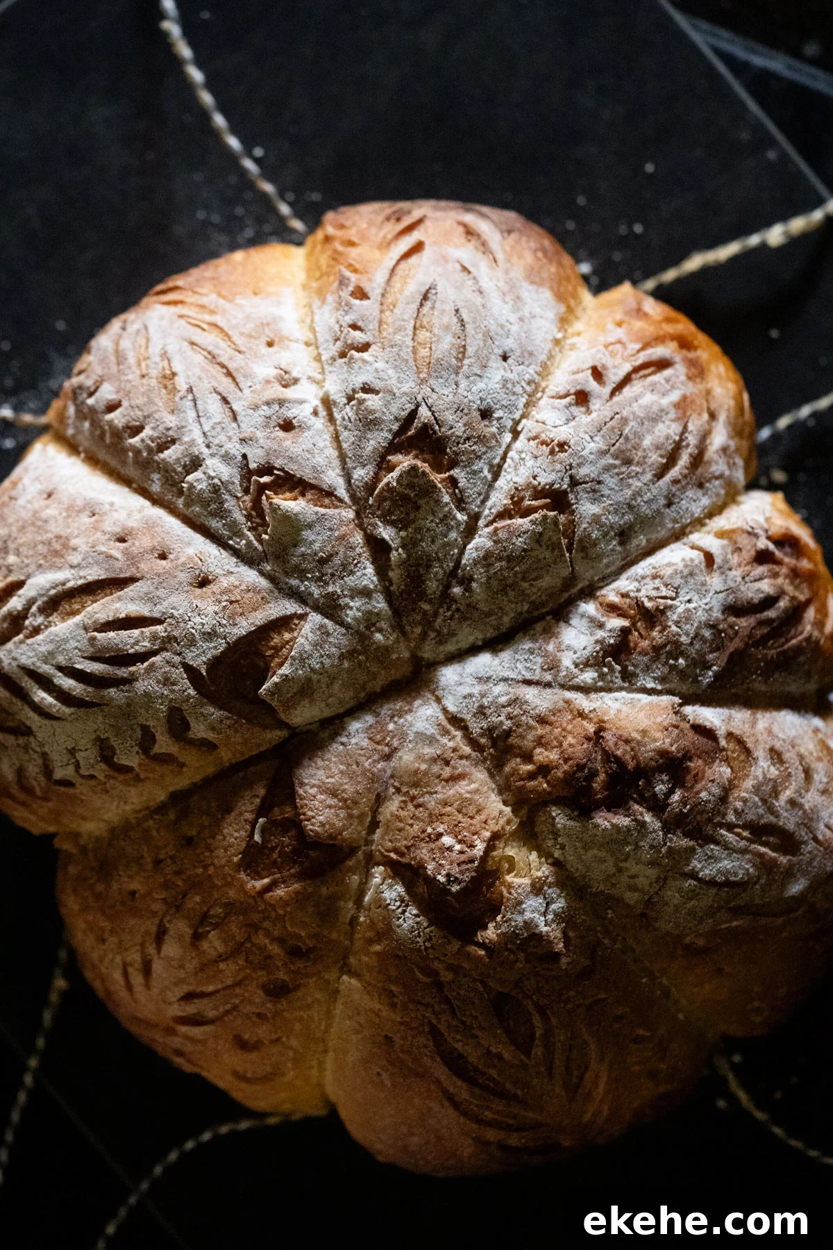 Freshly baked pumpkin sourdough loaf with detailed festive scoring