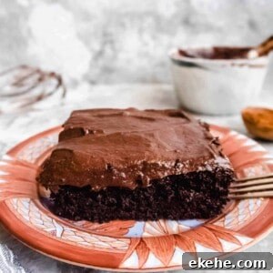 Paleo Single Layer Chocolate Cake with Chocolate Frosting (Dairy-free, GF) | Perchance to Cook, www.perchancetocook.com