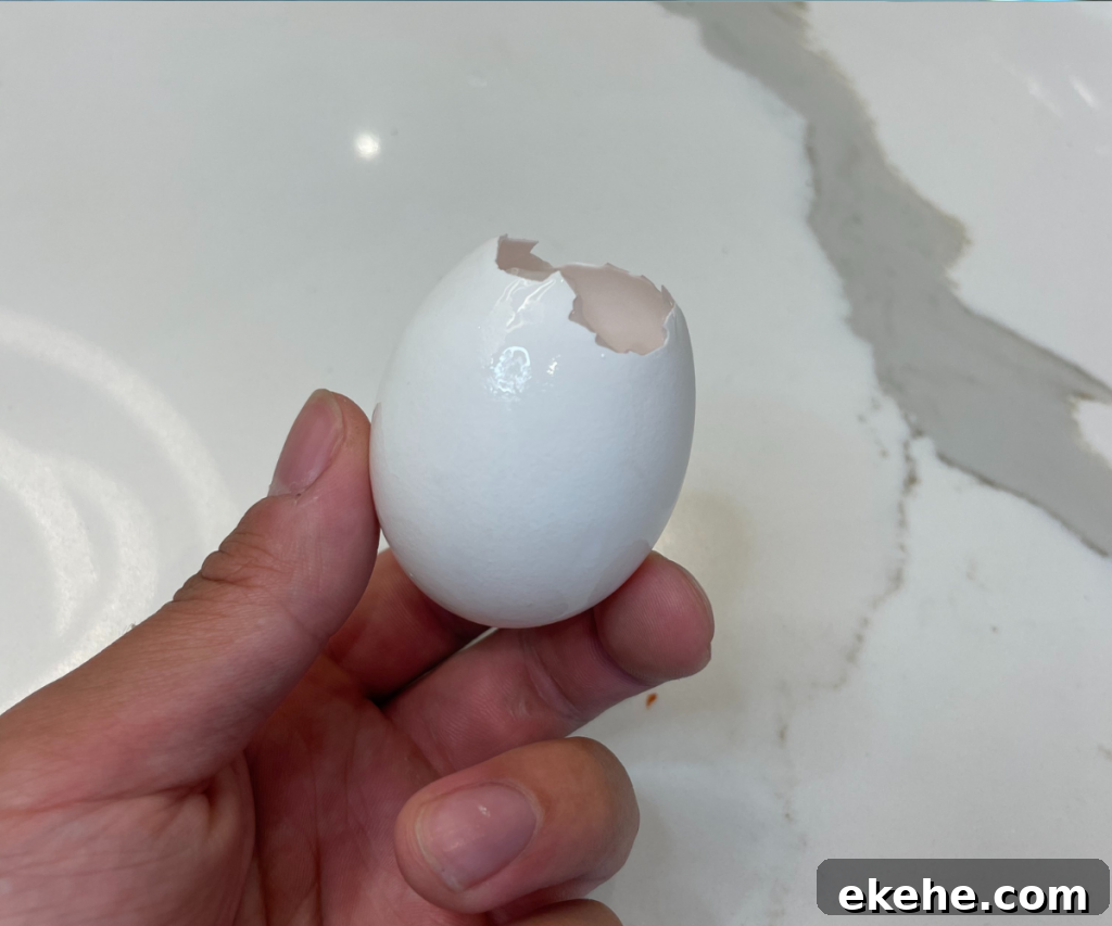 egg shell used to measure water