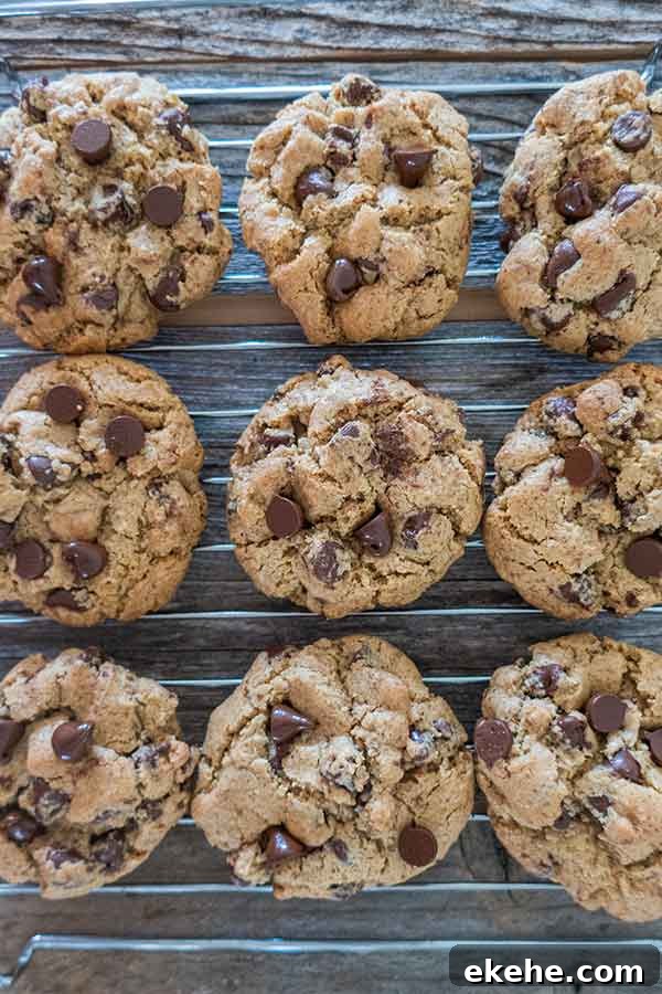 gluten-free chocolate chip cookie on a cooling rack
