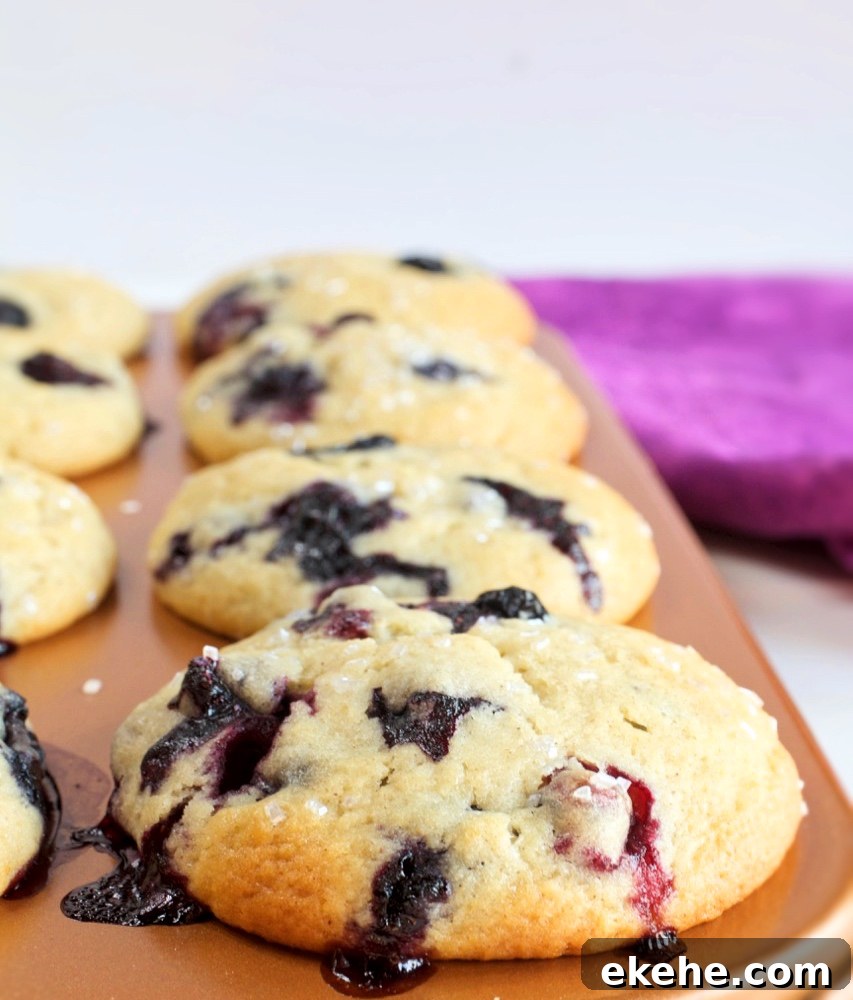 Blueberry Muffins.