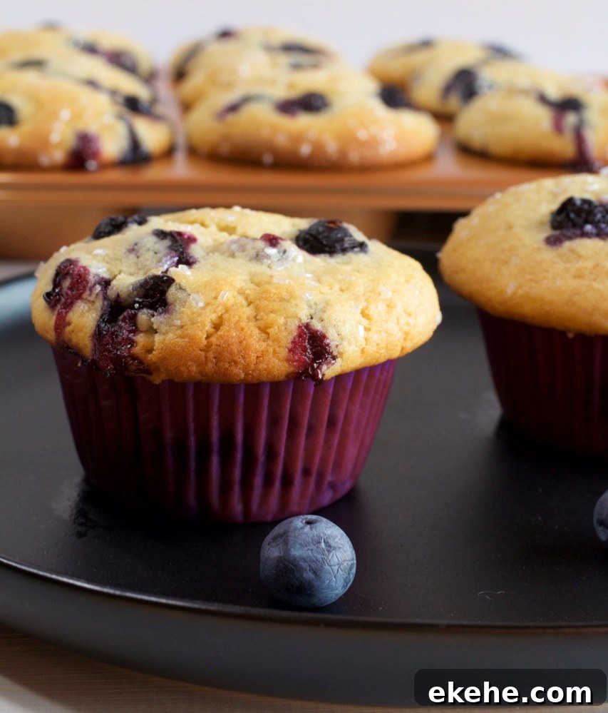 Blueberry Muffins.