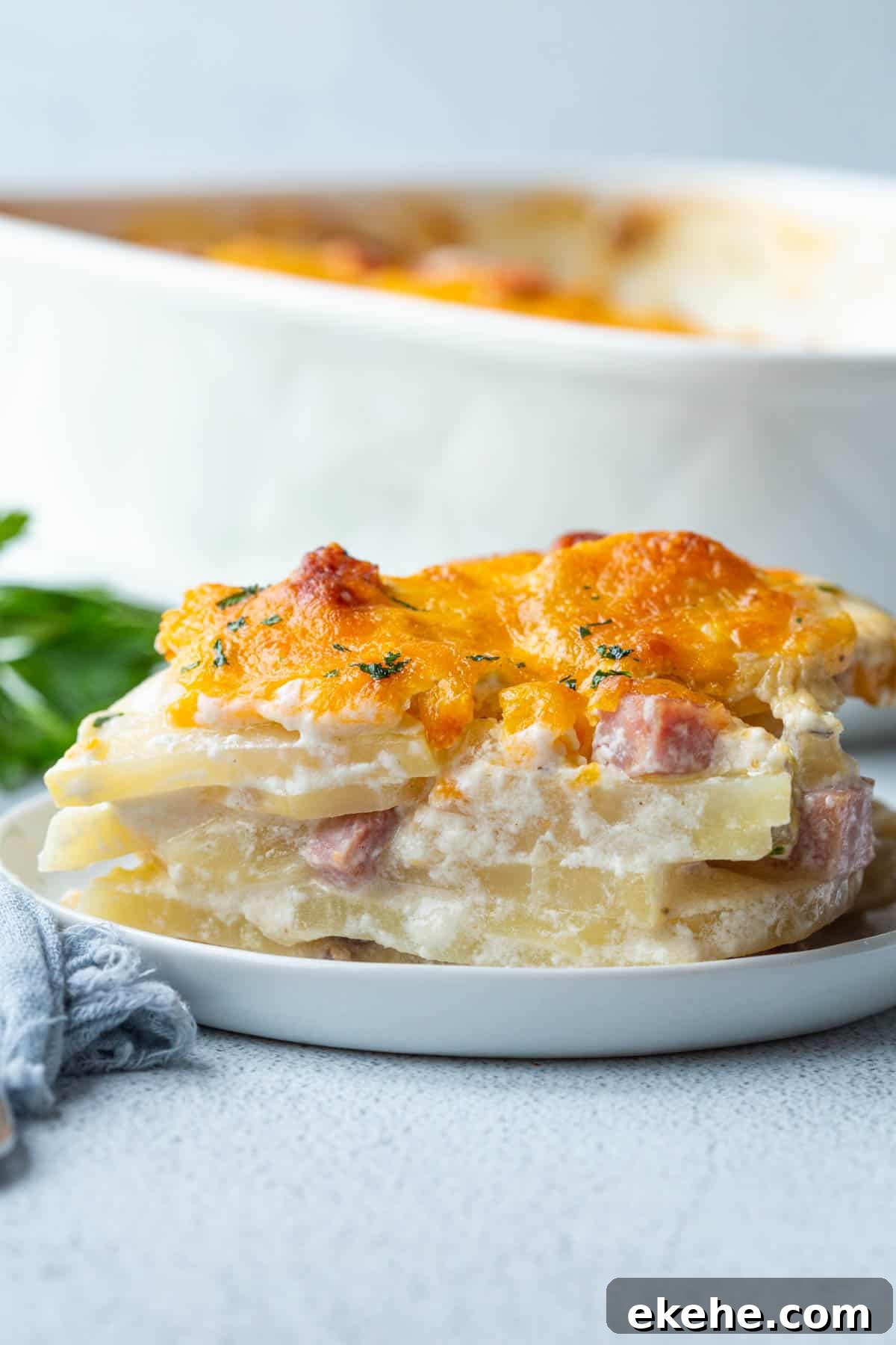 slide of scalloped potatoes topped with cheese on a white plate, next to a white casserole dish.