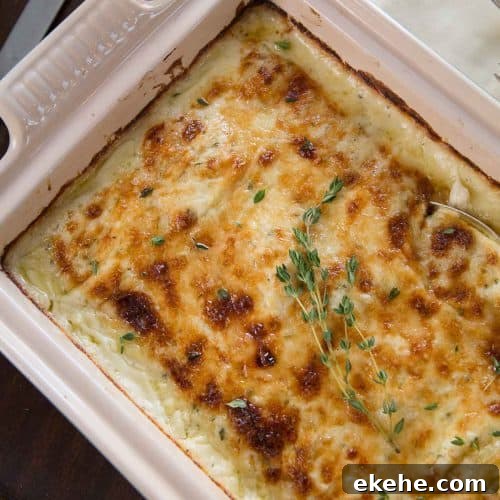 scalloped potatoes topped with fresh thyme in a cream casserole dish.