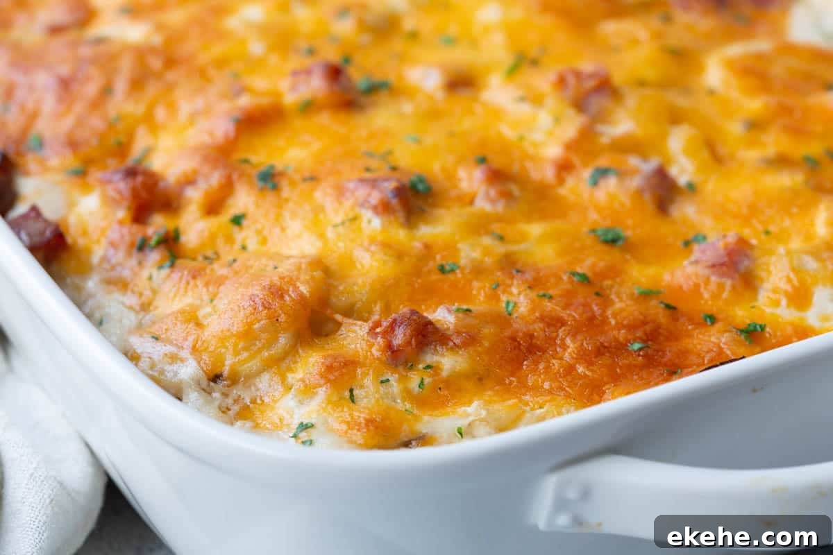 white casserole dish filled with scalloped potatoes and ham, topped with melted cheese.