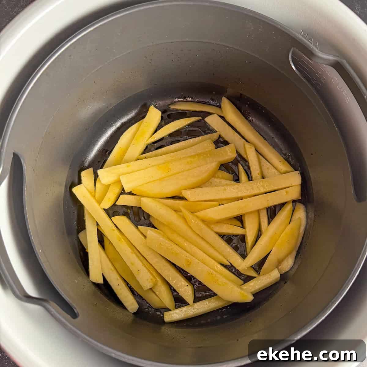 fries in instant pot