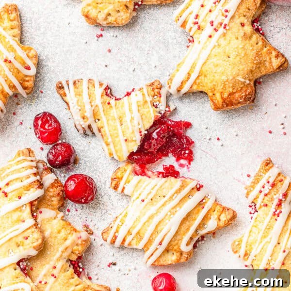 Cranberry Hand Pies
