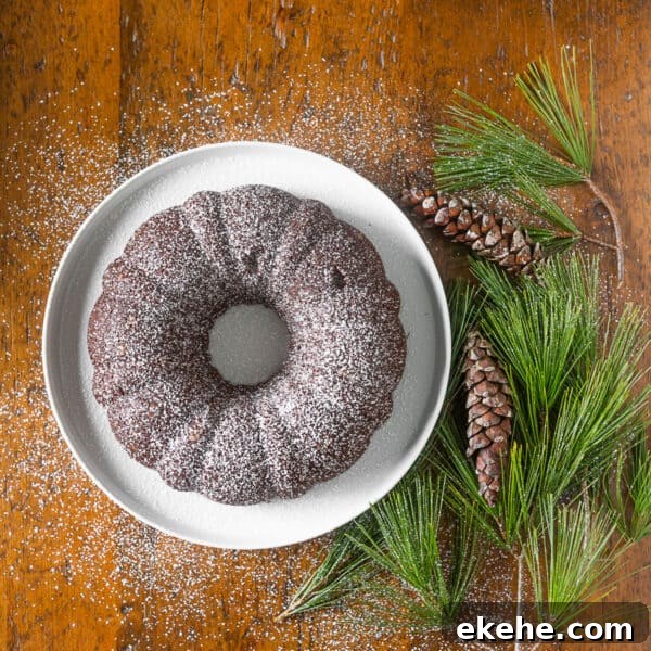 Chocolate Gingerbread Cake