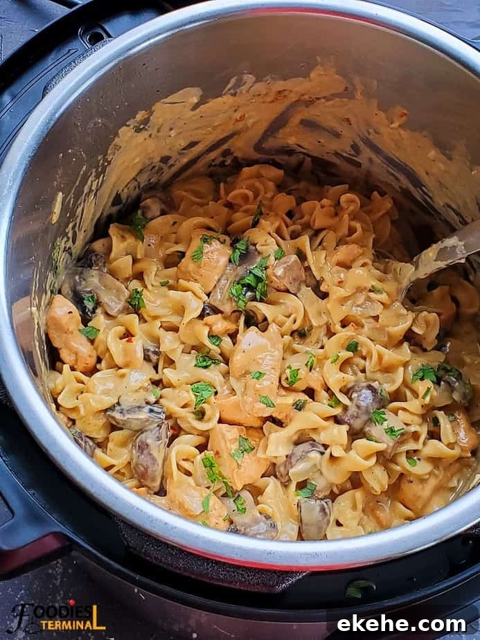 instant pot chicken mushroom stroganoff with a ladle