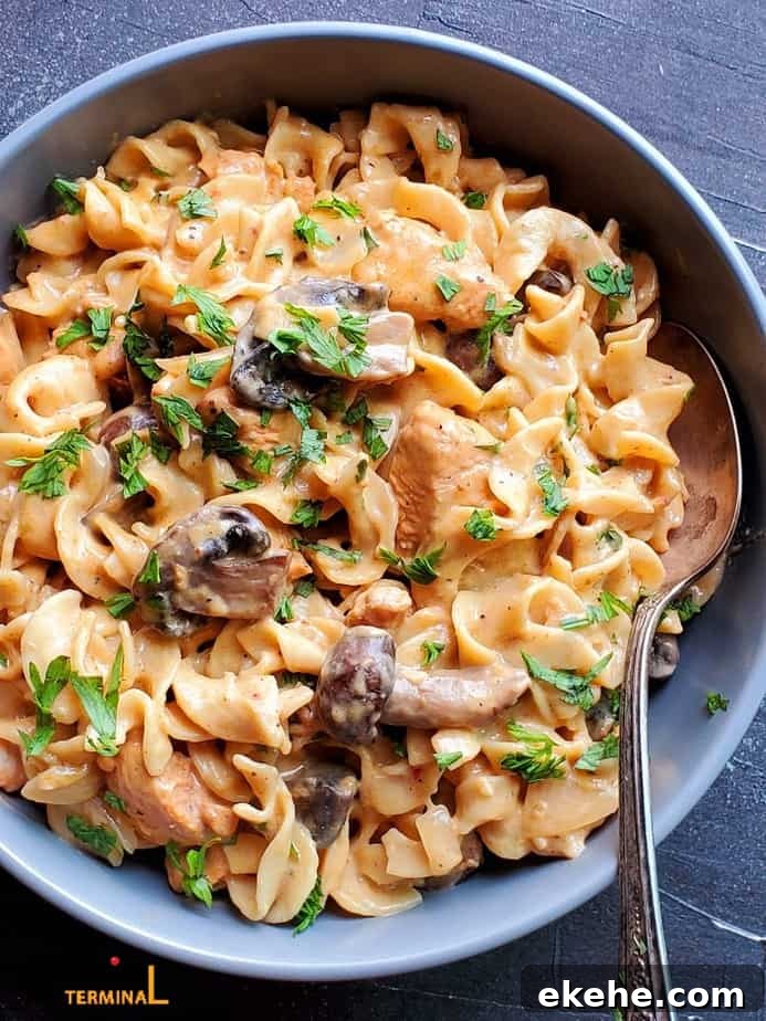 instant pot chicken stroganoff in a grey bowl with a spoon garnished with parsley