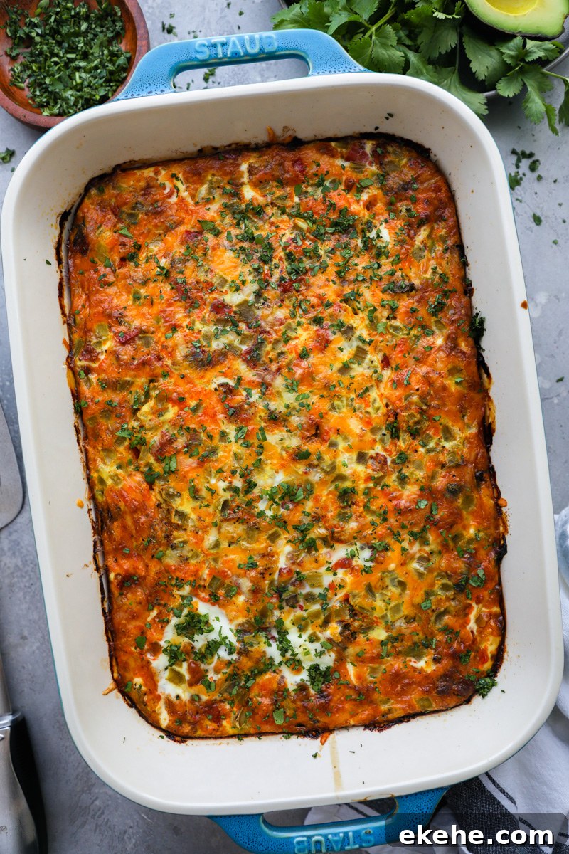 A chorizo and potato egg casserole in a 9x13 inch pan sprinkled with chopped cilantro