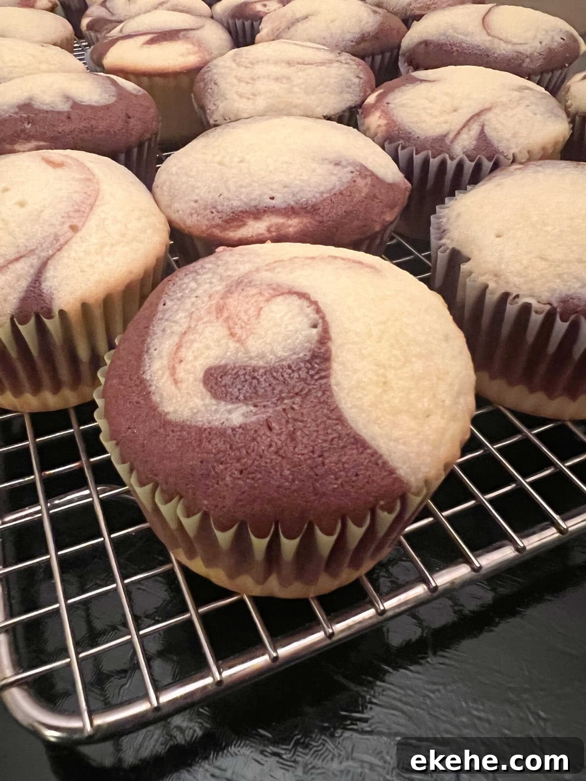 Marble Cupcakes, freshly baked on a cooling rack.