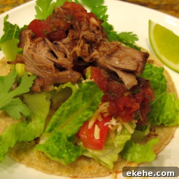 Carnitas taco ready to eat