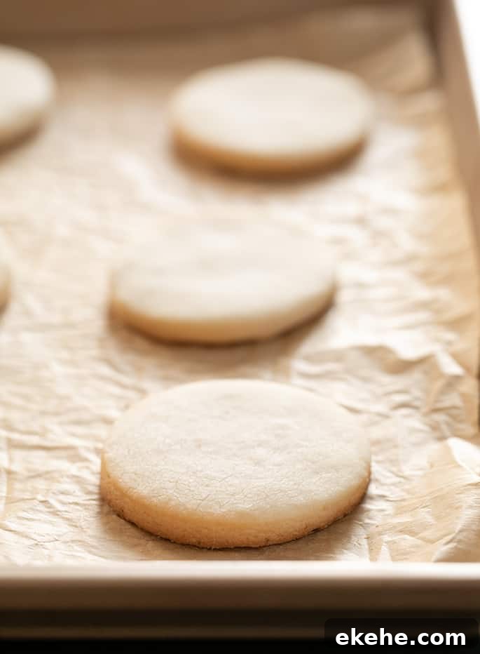 Meltaway cutout cookies baked on tray