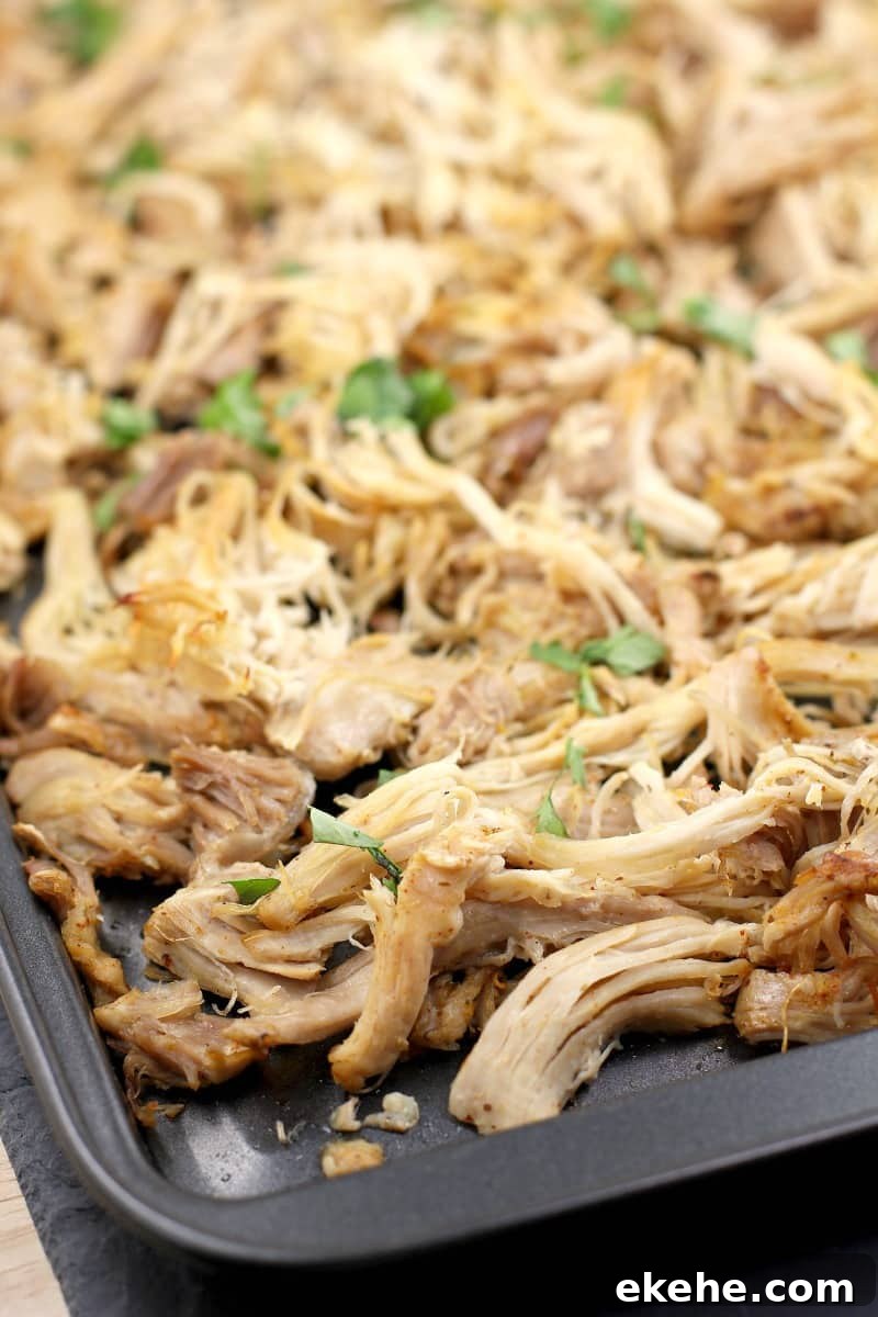 shredded chicken carnitas on a bake sheet