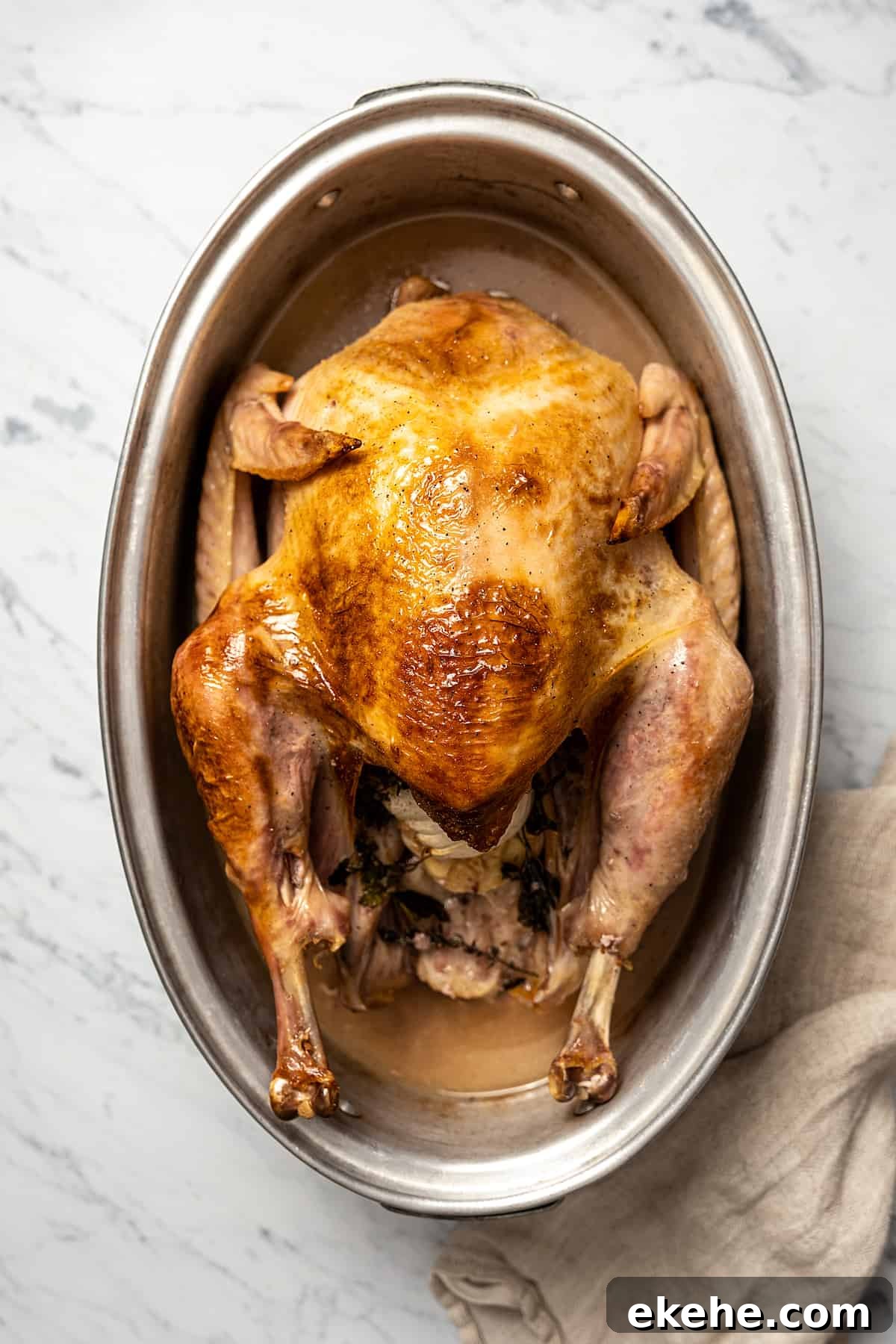 A whole roast turkey in a roasting pan.