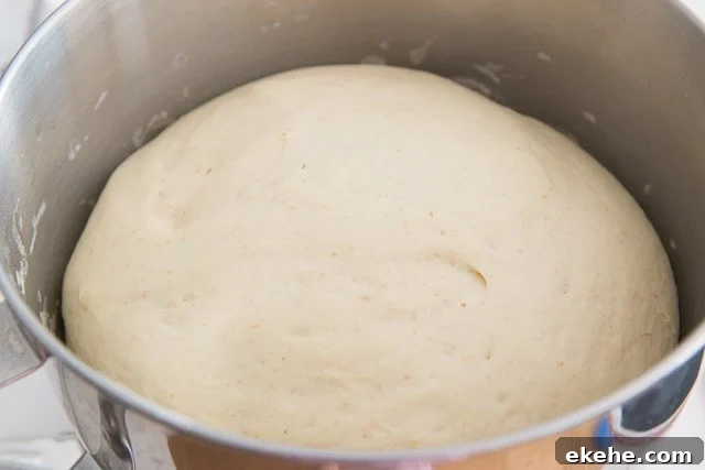 Buffalo Garlic Knot Recipe: Spicy, Cheesy Pull-Apart Rolls 7 Risen and Puffed Pizza Knot Dough in Stand Mixer Bowl
