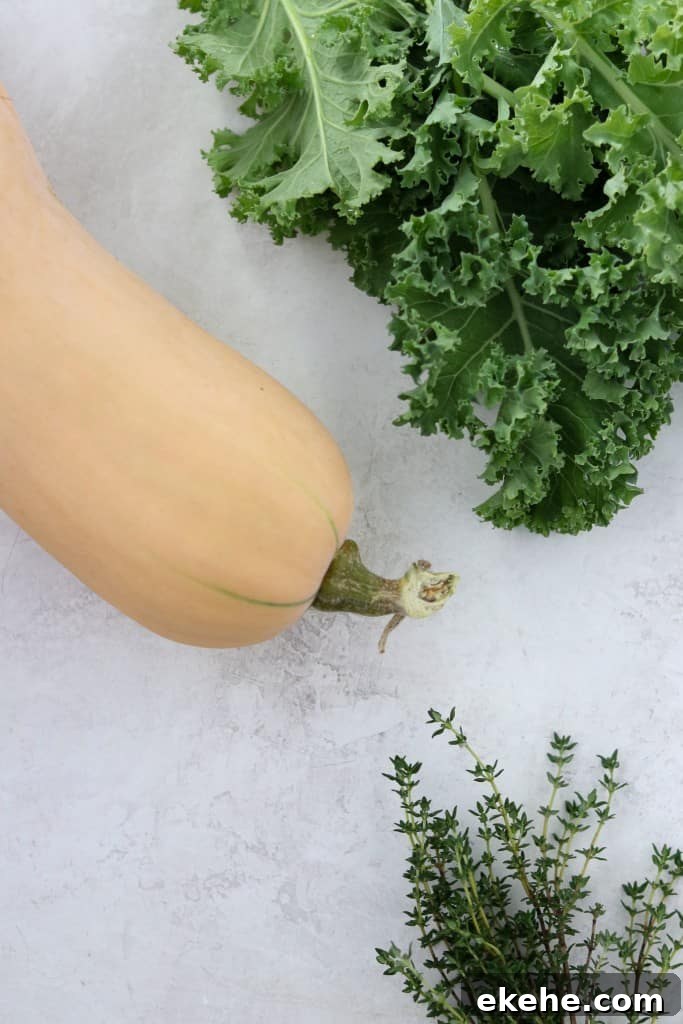Butternut squash, kale and thyme on a concrete surface