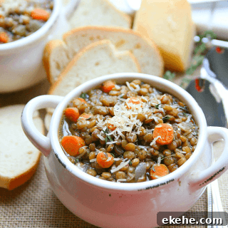 lentil soup from amy in the kitchen