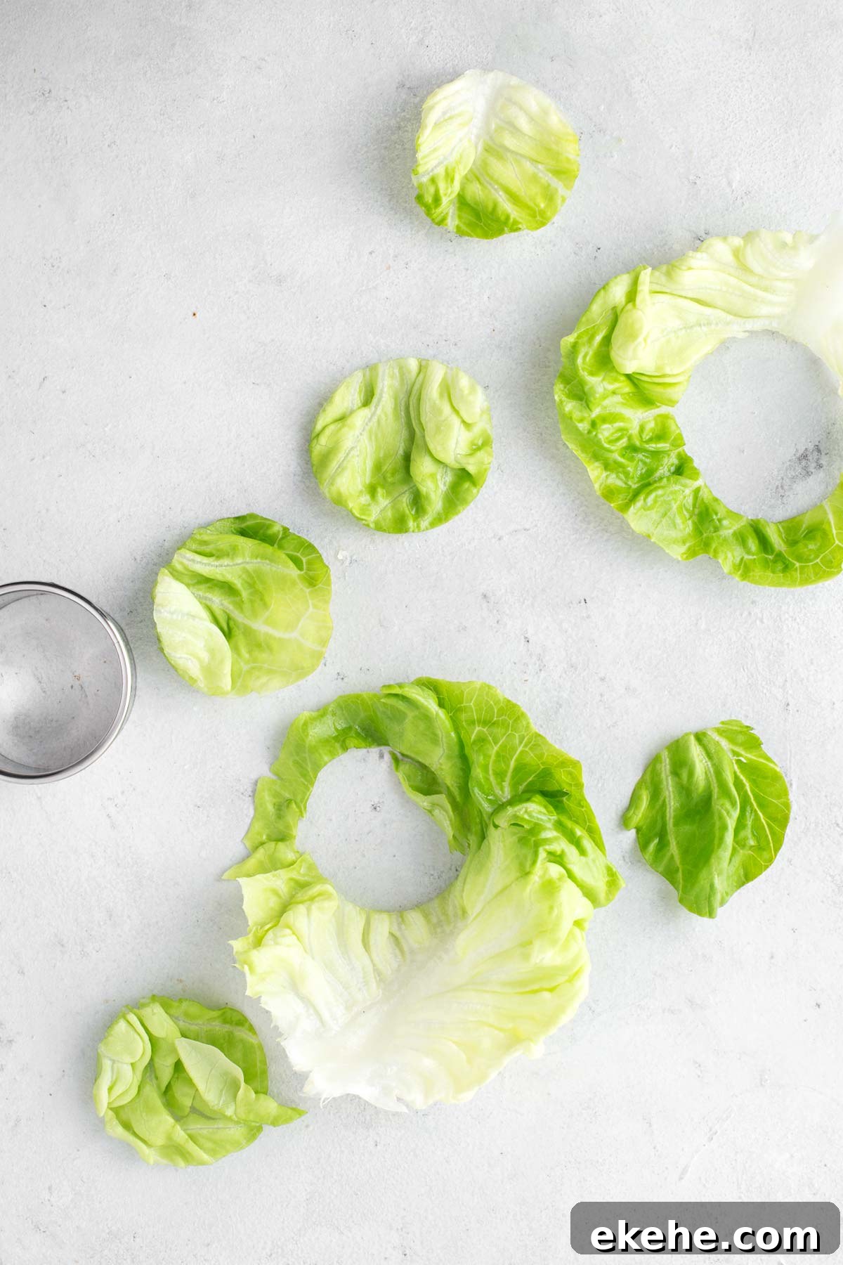 Butter lettuce being cut into circles with a round cookie cutter.