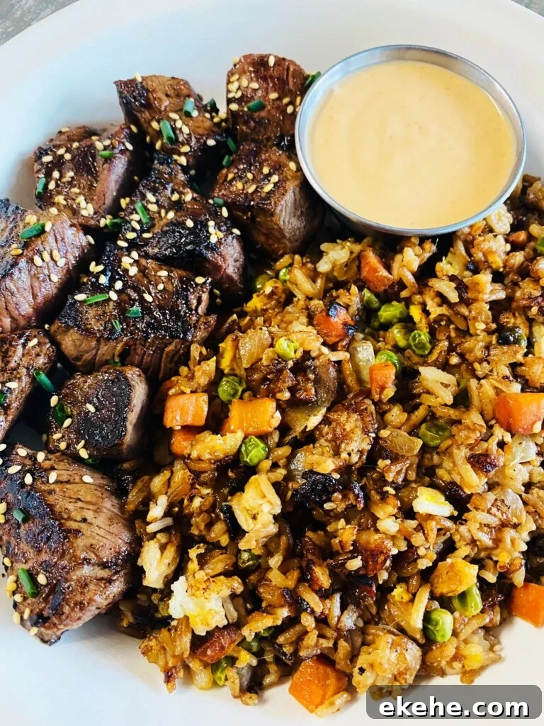 Hibachi Steak and Fried Rice